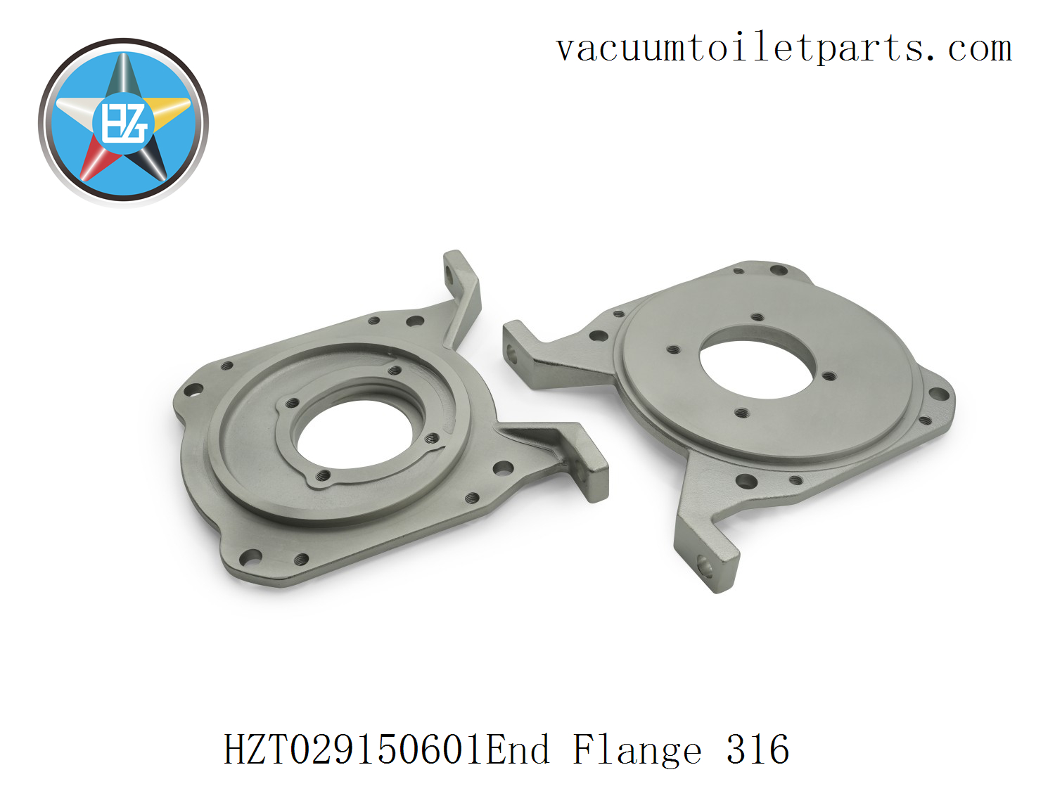Surface detail of HZT029150601 end flange showing sandblasted and electrolytic-polished finish.